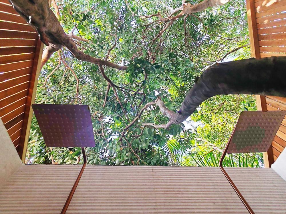 سانت بيير Coliver - Coliving A La Reunion المظهر الخارجي الصورة
