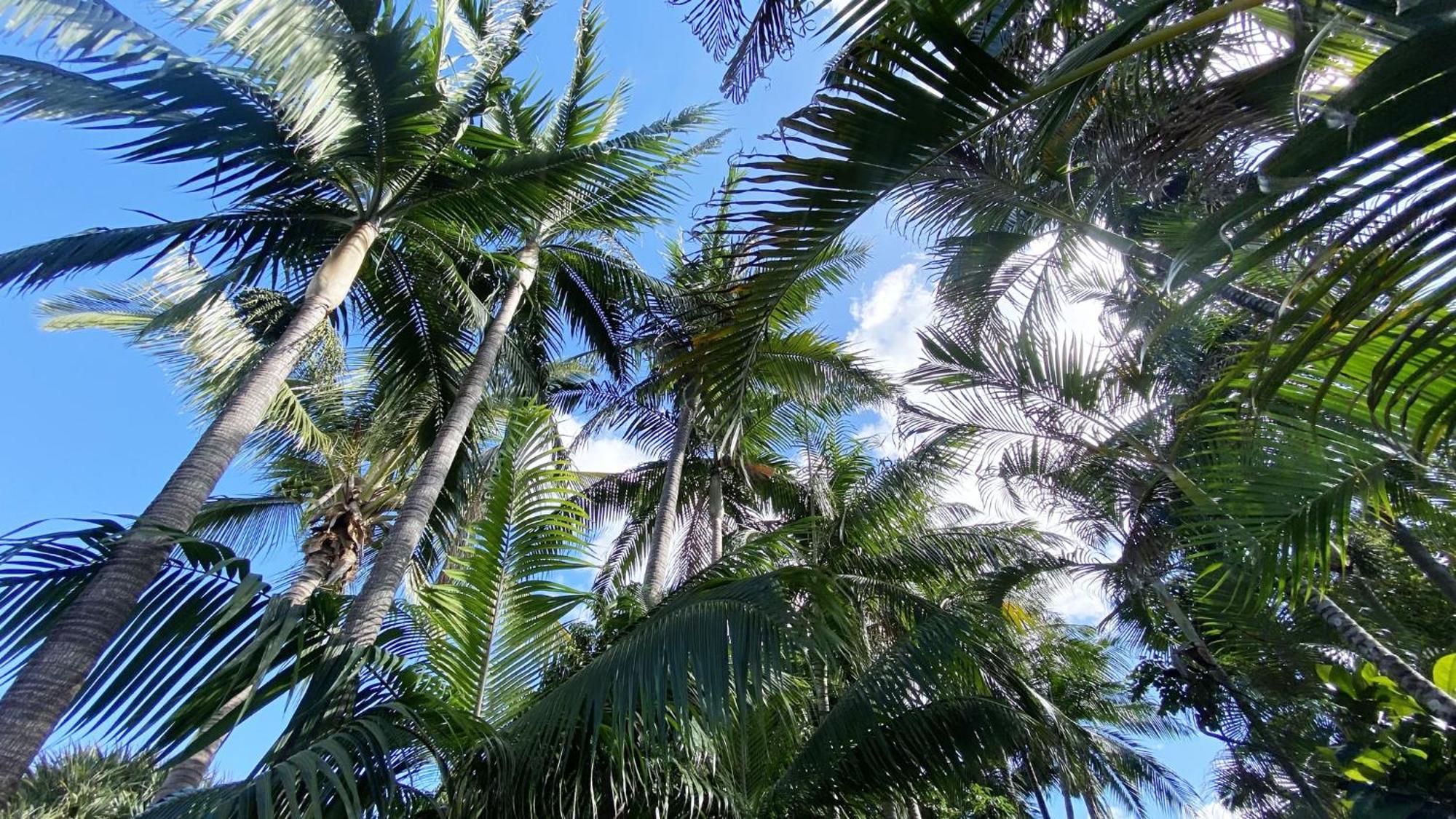 سانت بيير Coliver - Coliving A La Reunion المظهر الخارجي الصورة