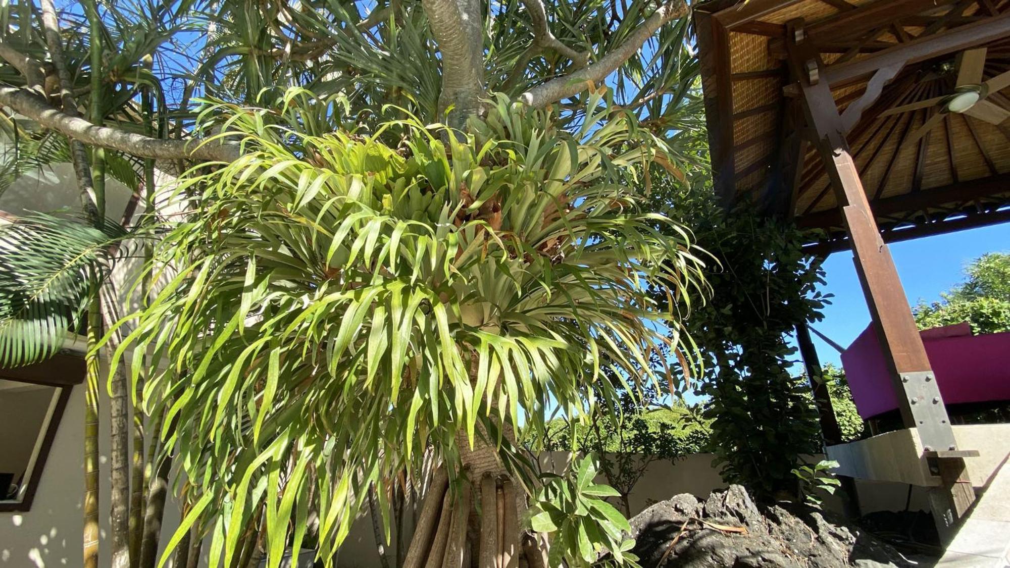 سانت بيير Coliver - Coliving A La Reunion المظهر الخارجي الصورة