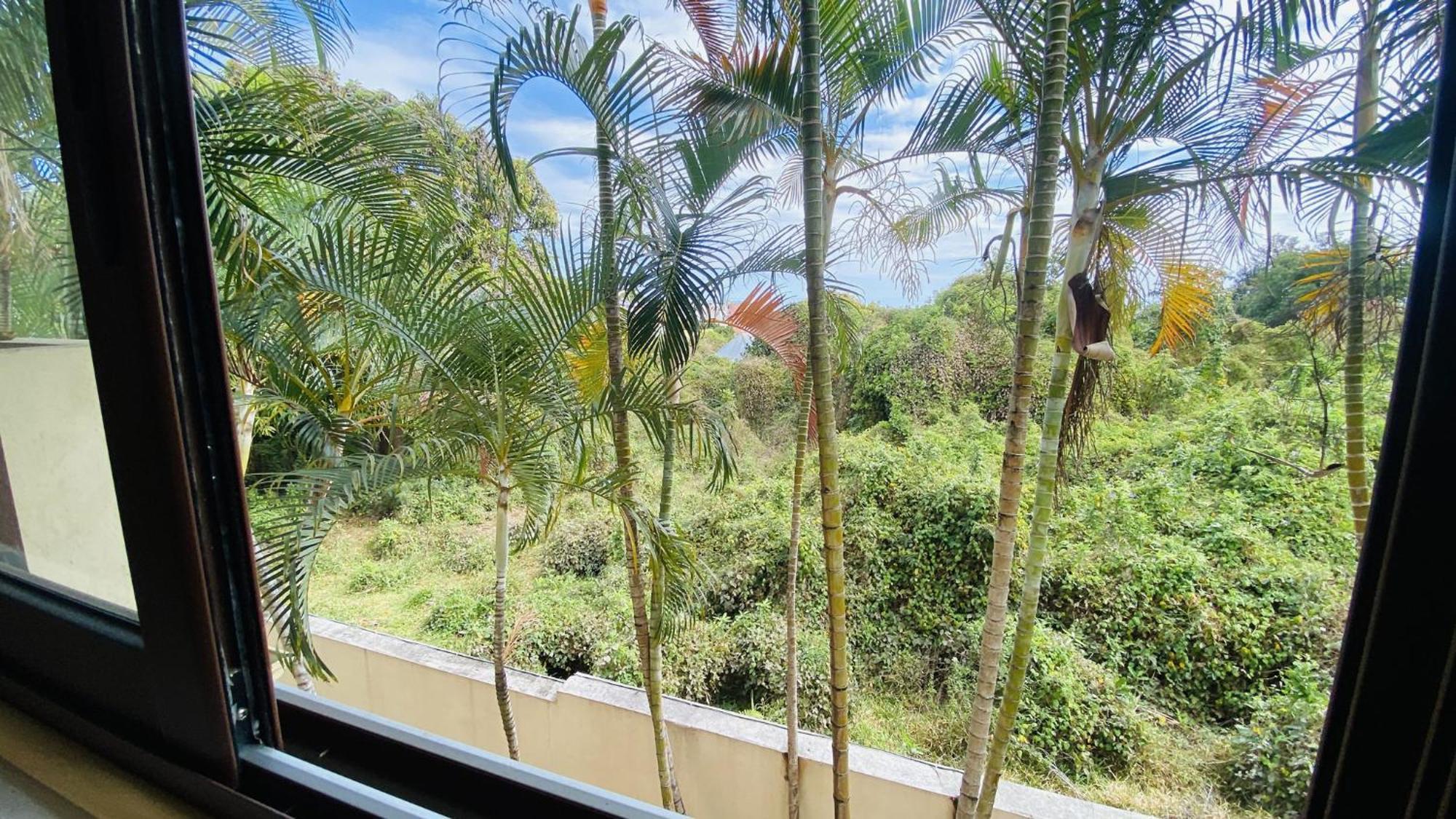 سانت بيير Coliver - Coliving A La Reunion المظهر الخارجي الصورة